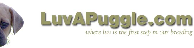 www.LuvAPuggle.com